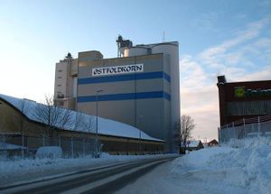 Sarpsborg, Alvimveien 48, Østfoldkorn.jpg