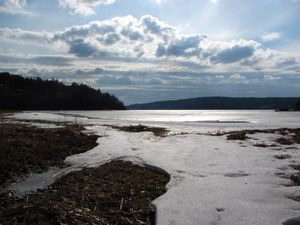 Sarpsborg, Tune - Vestvannet (1).JPG