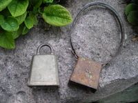 Sauebjeller. Foto: Anne Brit Flatin Borgen (2008).