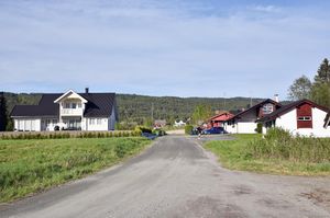 Sauherad, Åsåresvegen-1.jpg