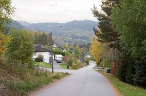 Sauherad, Bjørnskåsvegen-1.jpg