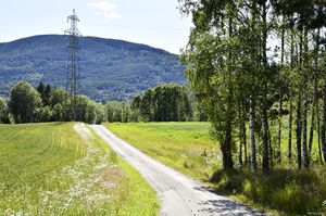 Sauherad, Flåtavegen-1.jpg