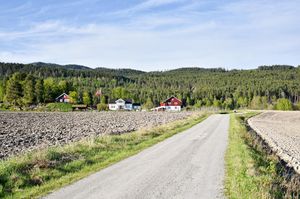 Sauherad, Kåsingrenda-1.jpg