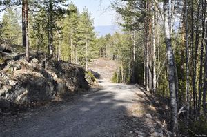 Sauherad, Løkjedalsvegen-1.jpg