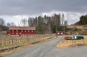 Sauherad, Landsverkvegen-1.jpg