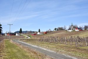 Sauherad, Nesoddvegen-1.jpg