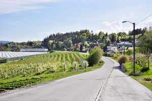 Sauherad, Norsjøvegen-1.jpg