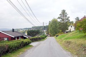 Sauherad, Rogholtvegen-1.jpg