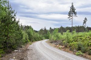 Sauherad, Rundtomvegen-1.jpg