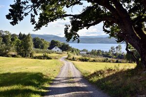 Sauherad, Ryntveitvegen-1.jpg