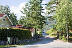 Sauherad, Smiuvegen-1.jpg