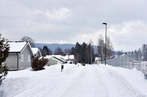 Sauherad, Tangenvegen-1.jpg