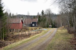 Sauherad, Tranemyrvegen-1.jpg