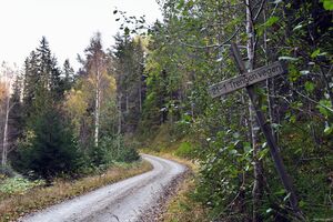 Sauherad, Trengenvegen-1.jpg