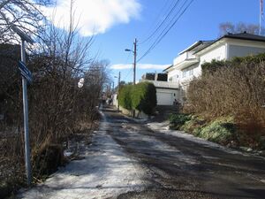 Schiøtts vei Oslo 2015.jpg