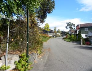 Schlanbusch vei Kongsberg 2014.jpg