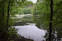 30. Schwartzedammen 2021 (N2048).JPG