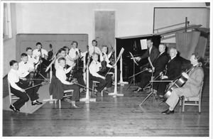 Seljestad strykeorkester 1.jpg