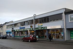 Seljestadveien 11.jpeg