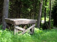 Mjølkerampe av tre ved Siljudale i Åmotsdal (Seljord). Foto: Siri Johannessen (2016).