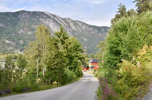 Seljord, Åsenvegen-1.jpg