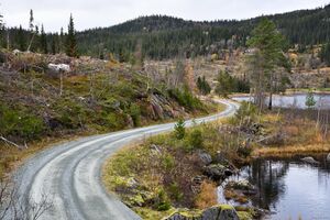 Seljord, Fallbekkvegen-1.jpg