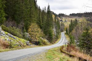 Seljord, Heiåvegen-1.jpg