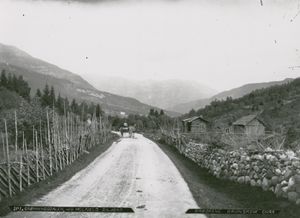 Seljord, Telemark - Riksantikvaren-T171 01 0354.jpg