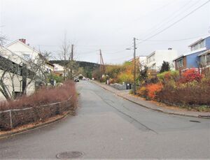 Sidsel Sidsærks vei Oslo 2013.jpg