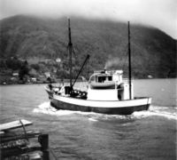 Her går «Sigfred» forbi kaia på Vik.