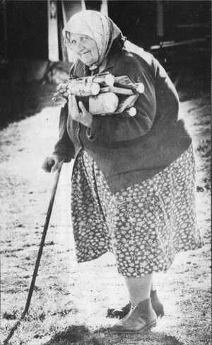 Signe Martinsen Fåfenga Kongsvinger 1981.jpg