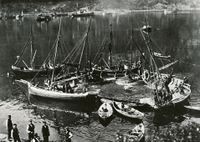 Sildekast i Kanstad i Lødingen. Foto: Ukjent