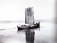 Sildgansfyring ved Aure på Nordmøre. Foto: Kristian Kjelland (1936).