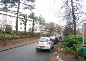 Silurveien Oslo 2014.jpg