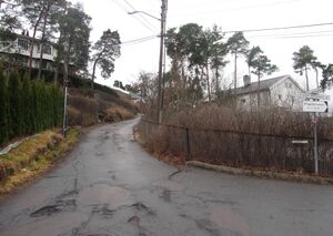 Singasteinveien Oslo 2013.jpg