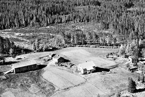 Sjøenden vestre Brandval Finnskog 1959.jpg