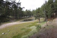 Skåpårtjønne. Kongevegen i høgre bildekant.