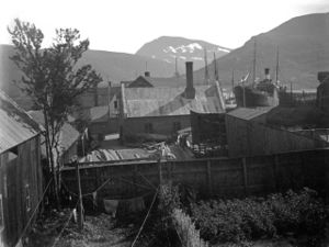 Skansegata 2 CarlDons1918Unimus.jpg