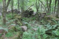 Ruinene av saga. Foto: Chris Nyborg (2016).