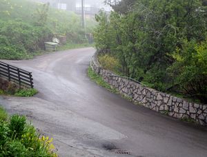 Skaret vei i Oslo 2015.jpg