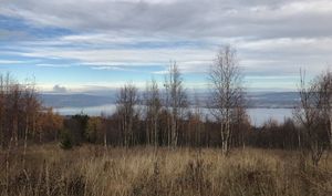 Skattumbeitet Nordlia 2018.jpeg