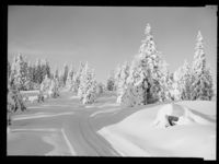 29. Skeikampen, Austlid - no-nb digifoto 20150205 00031 NB MIT FNR 15721.jpg