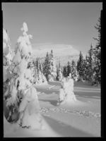 33. Skeikampen - no-nb digifoto 20150205 00037 NB MIT FNR 15659.jpg