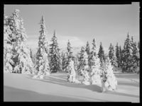 2. Skeikampen - no-nb digifoto 20150205 00038 NB MIT FNR 15656.jpg