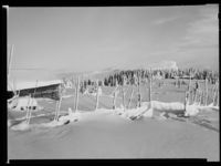 32. Skeikampen - no-nb digifoto 20150205 00056 NB MIT FNR 15668.jpg