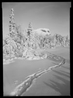 14. Skeikampen - no-nb digifoto 20150205 00063 NB MIT FNR 15660 A.jpg