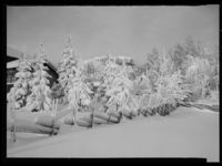 1. Skeikampen - no-nb digifoto 20150205 00077 NB MIT FNR 15662.jpg