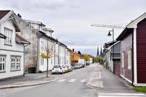 Skien, Amtmand Aalls gate-1.jpg