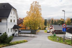 Skien, Bøgata-1.jpg