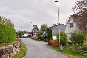 Skien, Berghammeren-1.jpg